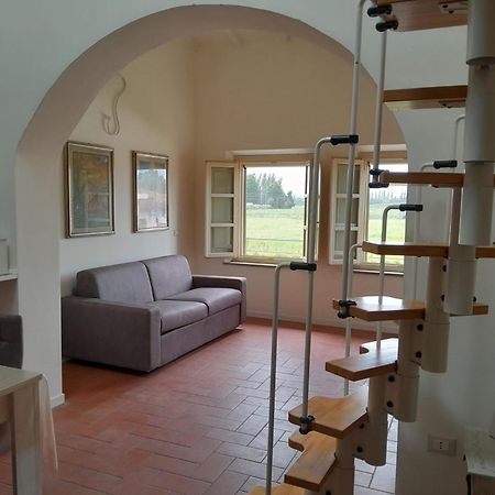 La Casa Di Fre Apartment Пиза Екстериор снимка